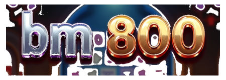 bm 800 logo